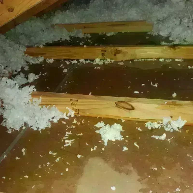 Attic Water Damage in Kiowa, KS